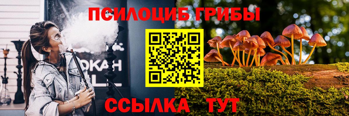 Галлюциногенные грибы Magic Shrooms Гусиноозёрск