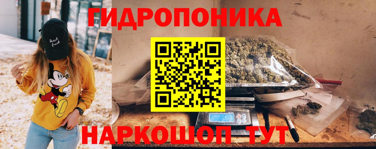 Конопля семена  Канабис конопля  Гусиноозёрск  Вход с VPN  Бошки Шишки LSD WEED 